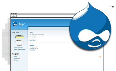 Drupal Hosting Plan